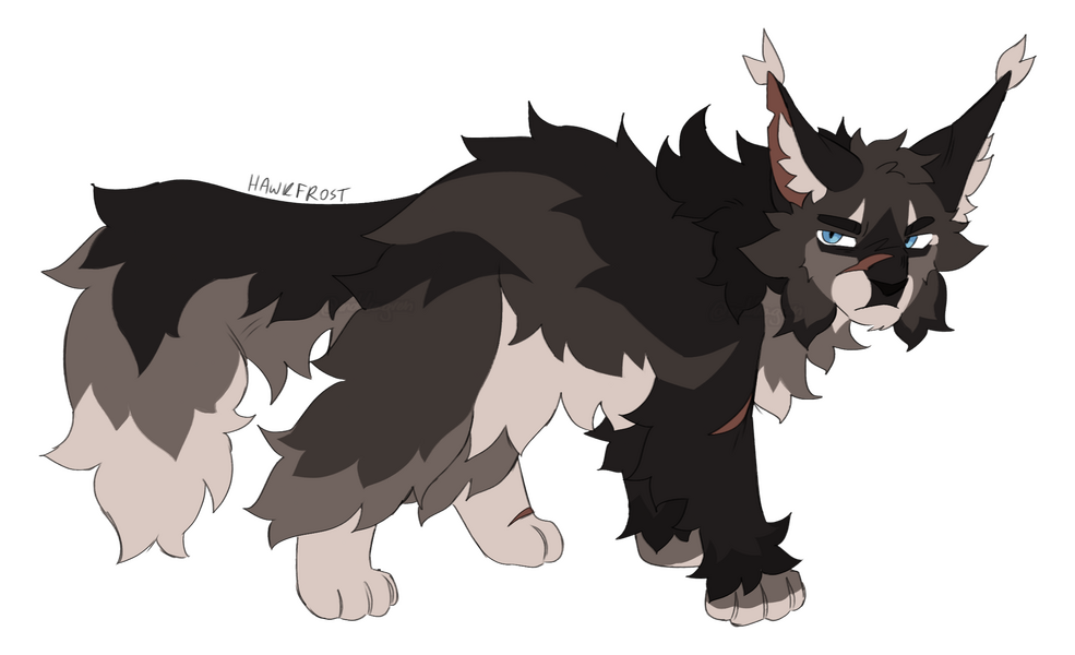 Character from Warriors (design by me)