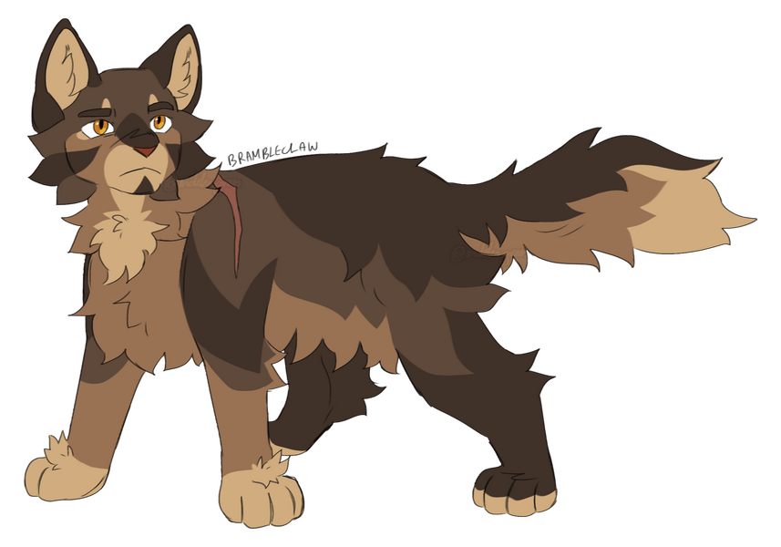 Character from Warriors (design by me)